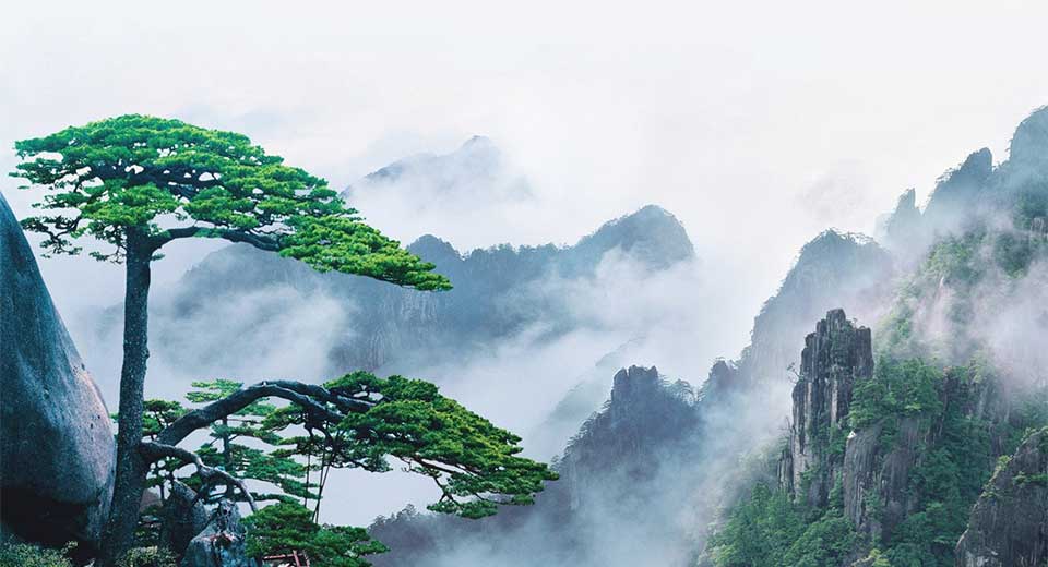 安徽省高級(jí)法院-新聞內(nèi)頁(yè)1.jpg 安徽省高級(jí)法院-新聞內(nèi)頁(yè)1.jpg