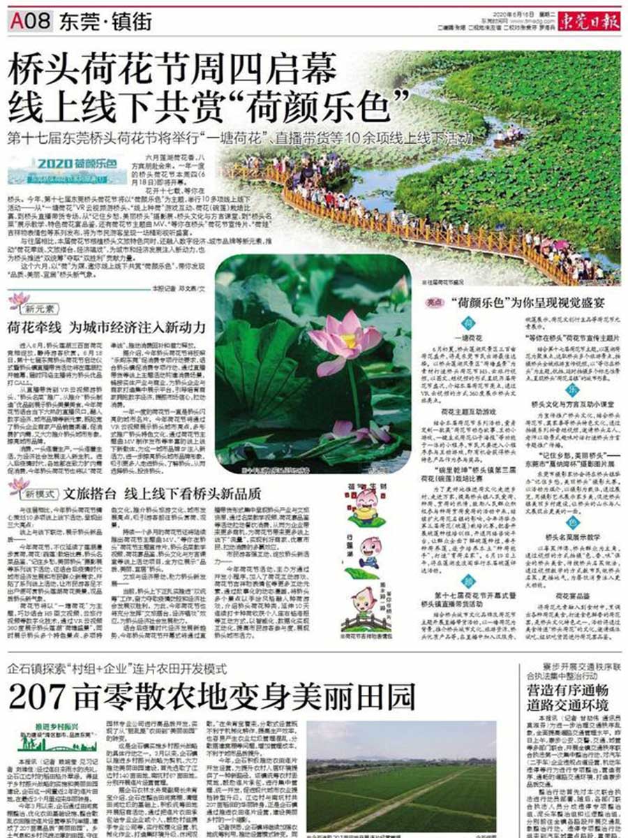 東莞荷花節(jié)-內(nèi)頁4.jpg